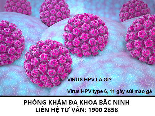 Virus HPV là gì? Những thông tin bạn nên biết
