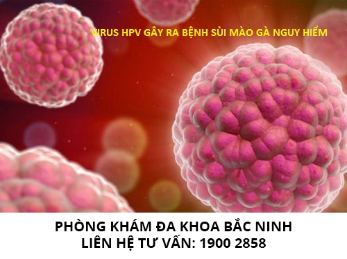Tìm hiểu HPV – Virus gây bệnh sùi mào gà