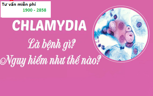  Chlamydia là bệnh gì? Những điều bạn cần biết